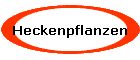 Heckenpflanzen