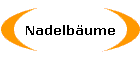 Nadelbume