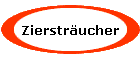 Zierstrucher