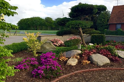 Bild "Sommer:Aktuelles2_Garten_mit_Rhododendron_Azaleen_Formgehoelz_und_Bonsai.JPG"